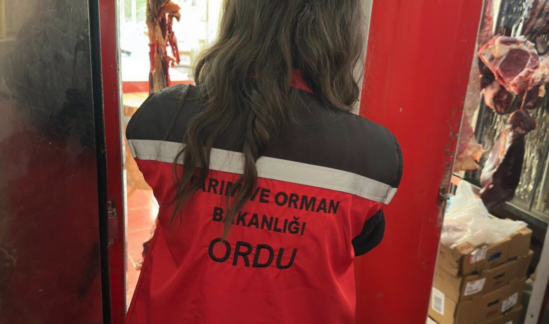 Ordu'da 2026 yılının ilk 6 ayında gerçekleştirilen gıda denetimlerinde 7