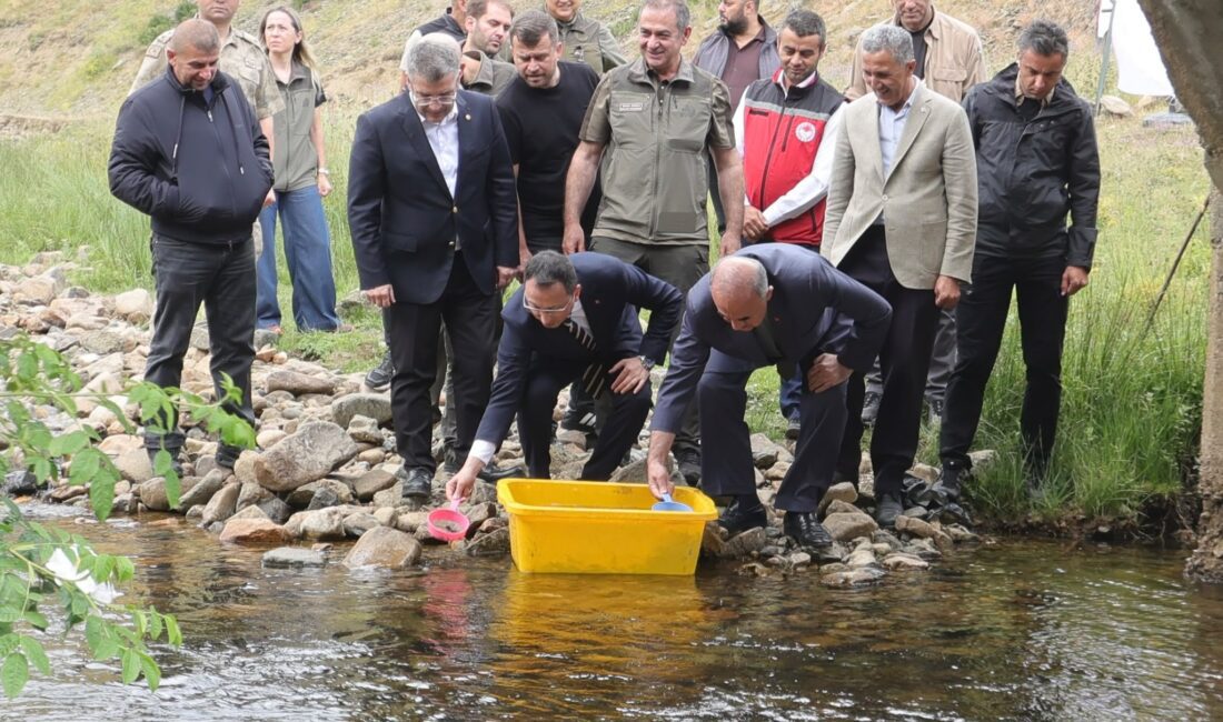 Ordu'nun Kabadüz ilçesindeki Çambaşı Deresi'nde "Doğal Alabalık Üretilmesi ve Orman