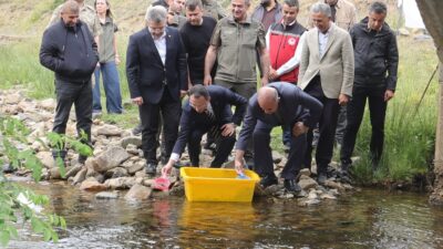 Ordu'nun Kabadüz ilçesindeki Çambaşı Deresi'nde "Doğal Alabalık Üretilmesi ve Orman