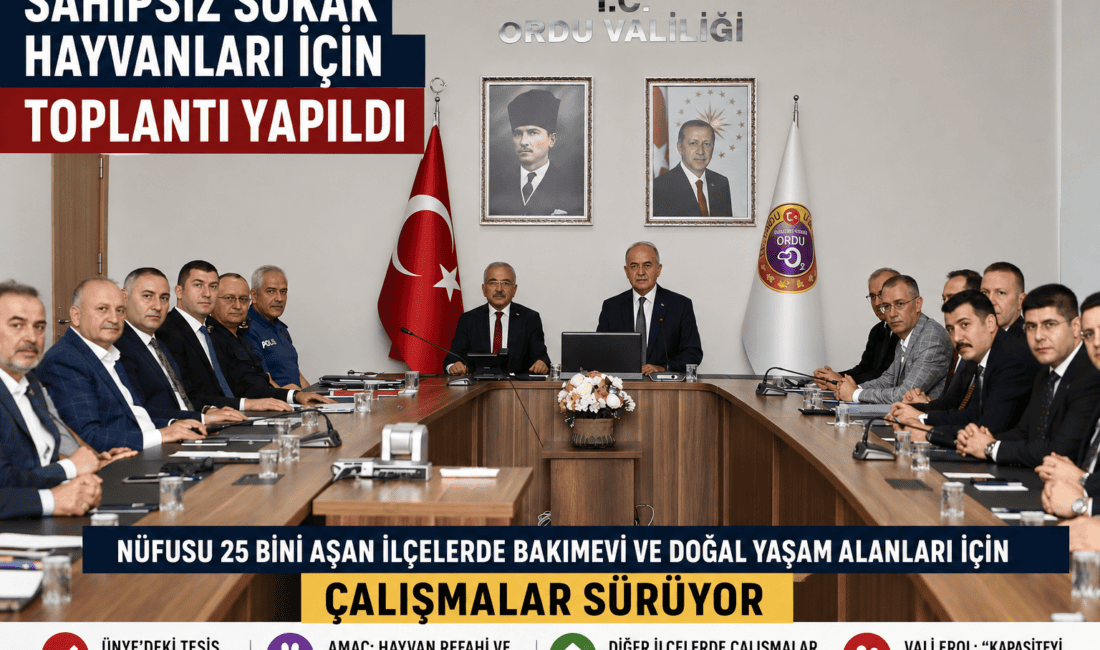 Ordu'da sahipsiz sokak hayvanları için yapılacak bakımevi ve doğal yaşam