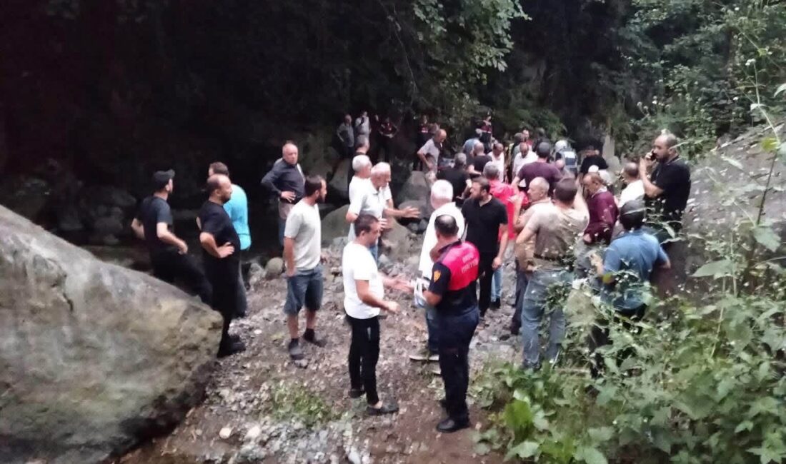 Ordu’nun Çamaş ilçesi Sarıyakup Mahallesi’nde fındık toplarken uçurumdan yuvarlanan Nebahat