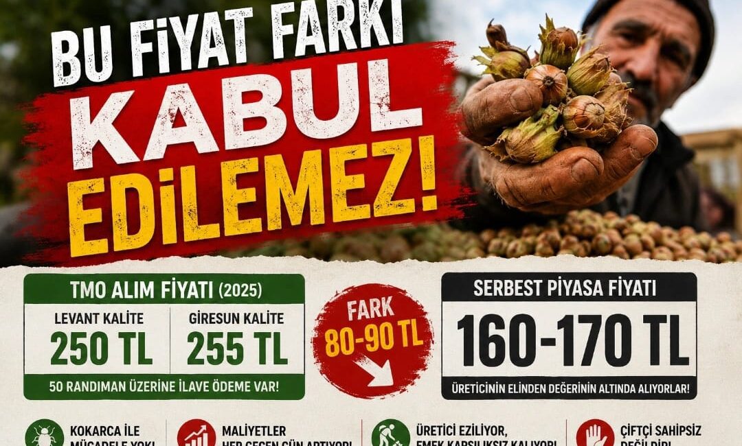 YRP Ünye İlçe Başkanı Mehmet Üstündağ, TMO ile serbest piyasa