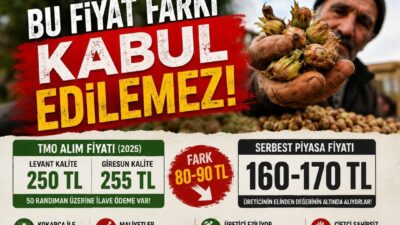 YRP Ünye İlçe Başkanı Mehmet Üstündağ, TMO ile serbest piyasa