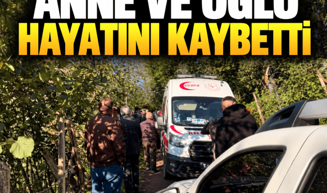Ordu Korgan’da yol anlaşmazlığı nedeniyle Orhan Artça’nın ardından annesi Nezaket