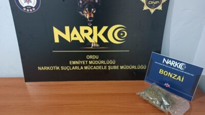 Ordu’da 8–9 Ekim’deki narkotik çalışmalarında 3 şüpheliye adli işlem yapıldı.