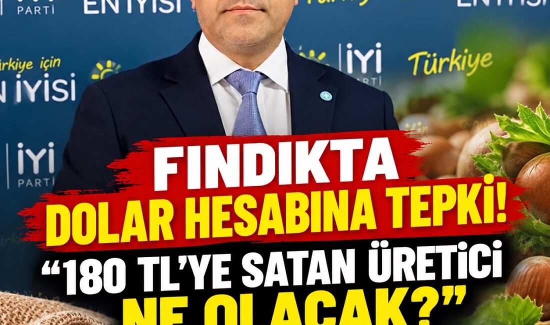 İYİ Parti Ordu İl Başkanı Fatih Titiz, fındık fiyatının