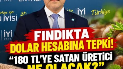  İYİ Parti Ordu İl Başkanı Fatih Titiz, fındık fiyatının