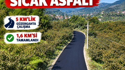  Ordu Büyükşehir Belediyesi, İkizce Düzpelit’te 5 kilometrelik yolu asfaltlıyor.